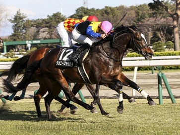 生産馬 ジョニーズララバイ号 優勝