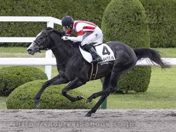 生産馬 アルメイダミノル号 優勝