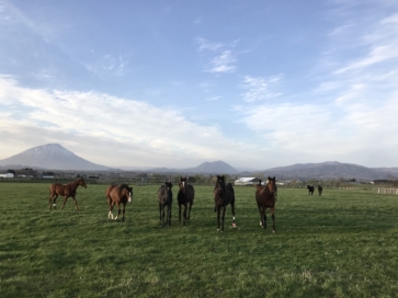 創業10周年のご挨拶