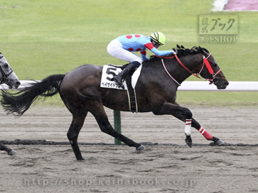生産馬 ベイサイドブルー号 優勝