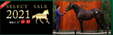 JRHAセレクトセール2021の上場馬が決定いたしました
