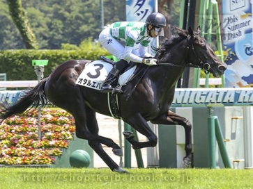 生産馬 オタルエバー号 優勝