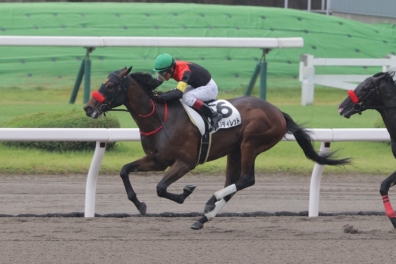 生産馬 シホノディレット号 優勝
