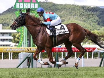 生産馬 クライムメジャー号 優勝