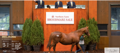 ノーザンファーム繁殖牝馬セールのお知らせ