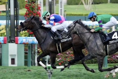 生産馬 ミスミルドレッド号 優勝