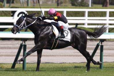 生産馬 シホノスペランツァ号 優勝
