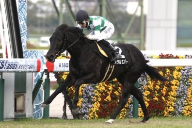 生産馬 オタルエバー号 優勝