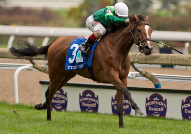 米国 Fasig-Tipton The November Saleにて、繁殖牝馬を購入しました。