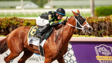 2021 November Breeding Stock Saleにて、繁殖牝馬を購入しました。