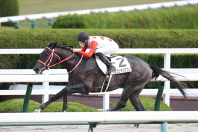 生産馬 カフジオクタゴン号 優勝