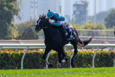 生産馬 グローリーヴェイズ号 第28回 香港ヴァーズ(G1)優勝