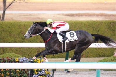 生産馬 アルメイダミノル号 優勝