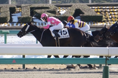 生産馬 ビップソリオ号優勝