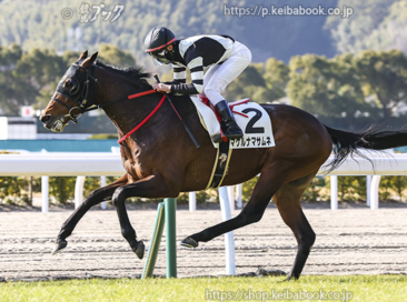 生産馬 マケルナマサムネ号 優勝