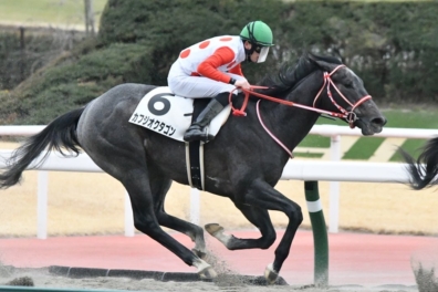 生産馬 カフジオクタゴン 優勝
