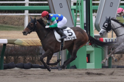 生産馬 カランセ号優勝