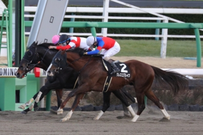 生産馬 ダノンスプレンダー号優勝