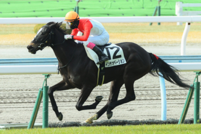 生産馬 インザオベーション号 優勝