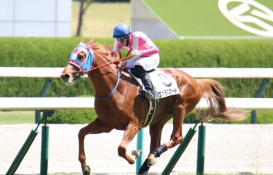 生産馬 ヴァモスロード号 優勝