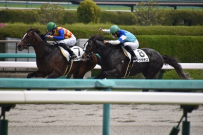 生産馬 ソクラテス号 優勝