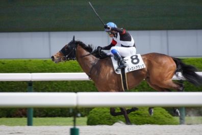 生産馬 ビーストアタック号 優勝