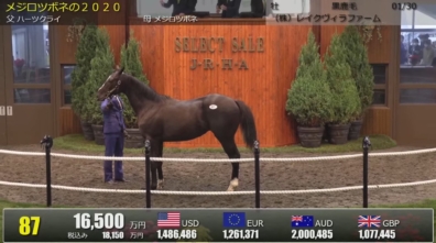 JRHAセレクトセール2022の上場馬が決定いたしました