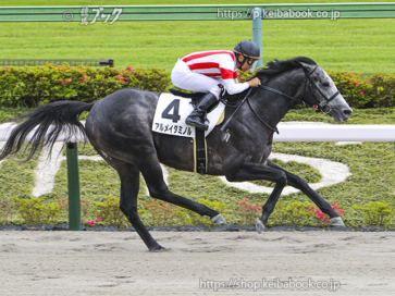 生産馬 アルメイダミノル号 優勝