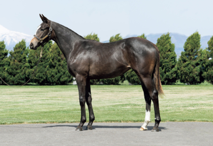 エイユーキュート