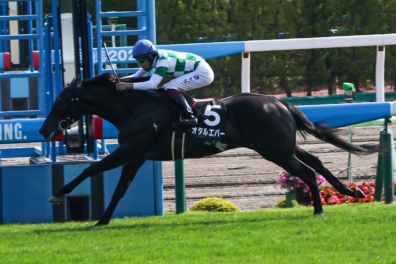 生産馬 オタルエバー号 優勝
