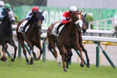 生産馬 ルージュアルル号 優勝