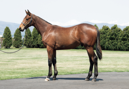 エイジランナー