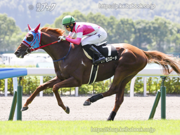 生産馬 ヴァモスロード号 優勝