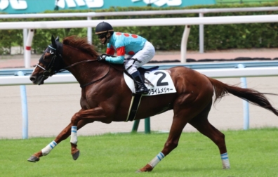 生産馬 クライムメジャー号 優勝
