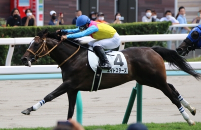 生産馬 エイトスターズ 優勝