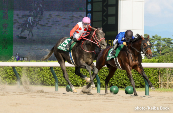 カフジオクタゴン