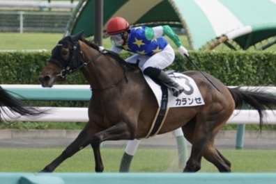 生産馬 カランセ号 優勝