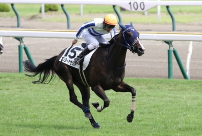 生産馬 ナンヨーアゼリア号 優勝