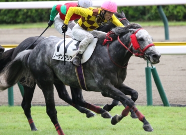 生産馬 ノーザンクリス号 優勝