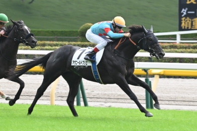 生産馬 アヴニールドブリエ号 優勝