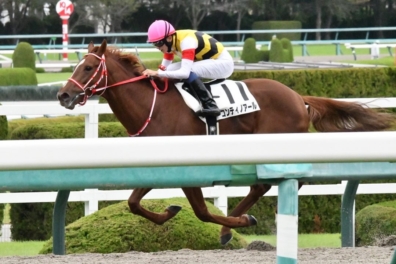 生産馬 コンティノアール号 優勝