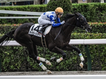 生産馬 ネイビースター号 優勝