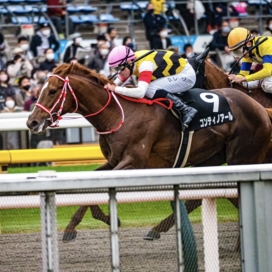 生産馬 コンティノアール号 優勝