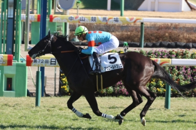 生産馬 アヴニールドブリエ号 優勝