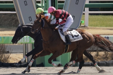 生産馬 ヤップヤップヤップ 優勝
