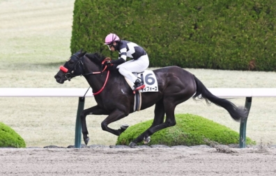生産馬 レディフォース優勝