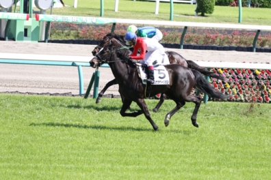 生産馬 インザオベーション号 優勝