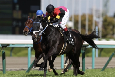 生産馬 シホノスペランツァ号 優勝