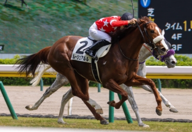 生産馬 ルージュアルル 優勝