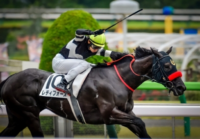 生産馬 レディフォース 優勝